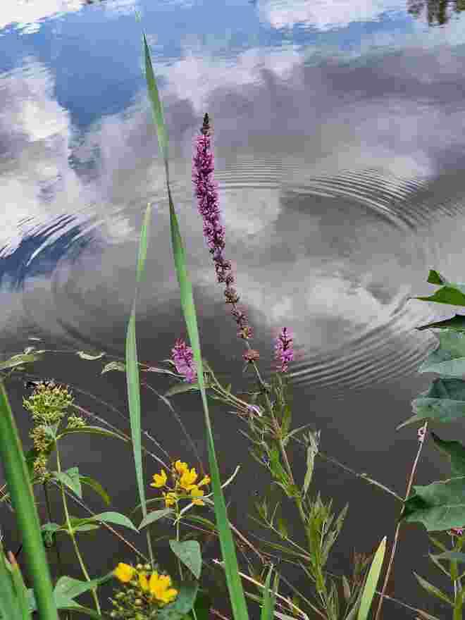 Wolken im Wasser
