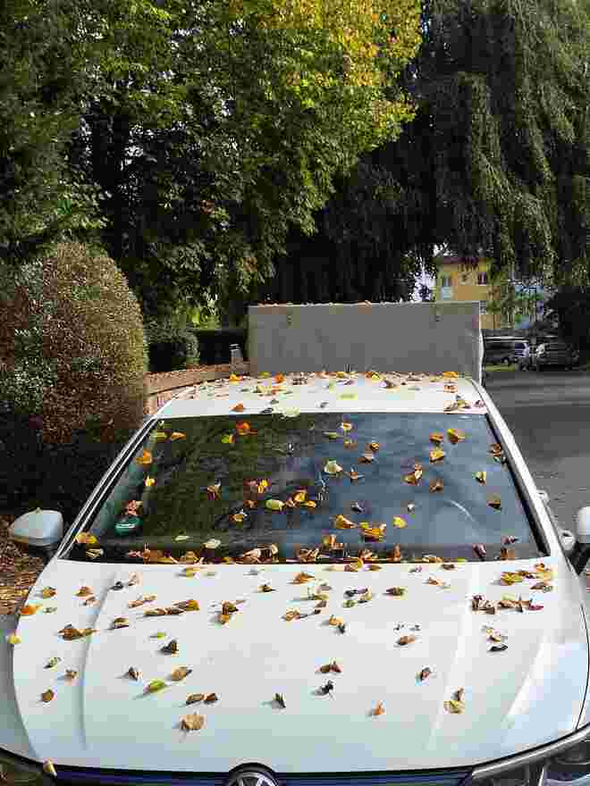Herbstdekoration auf dem Auto