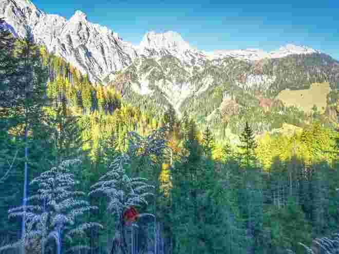 Pinzgauer Stilleben im Herbst