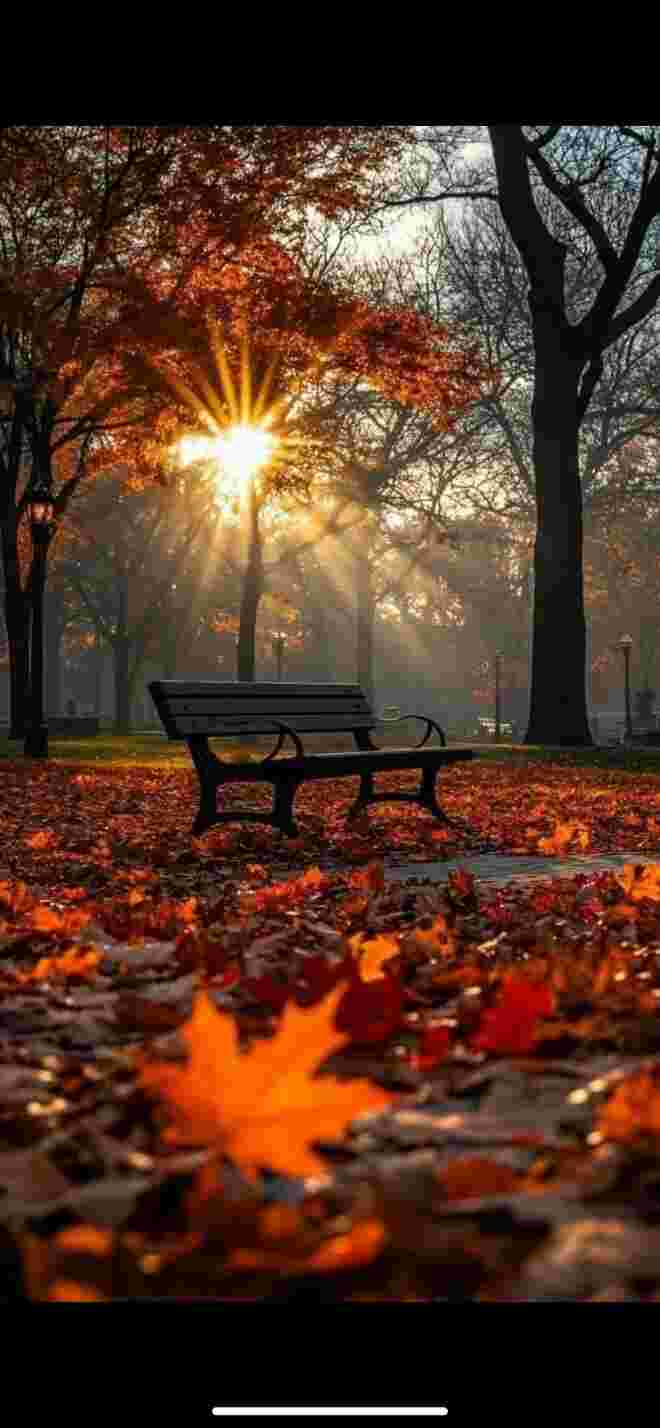 letztes Herbstlicht - mild und farbig