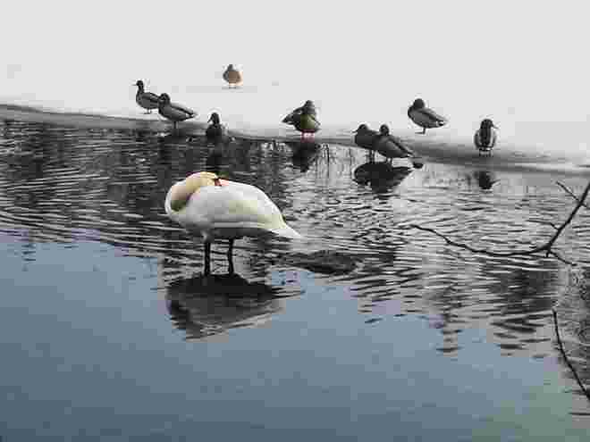 Chillen am See