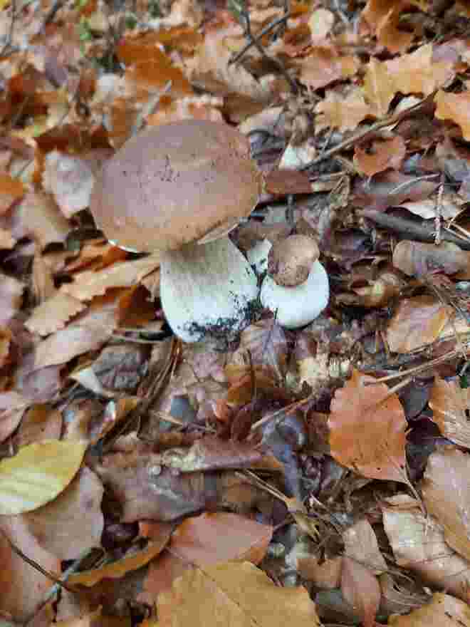 Erfolg zum Saisonende (3): halb versteckt