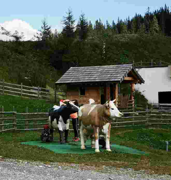 Oben Wasser rein, unten Milch raus ?!