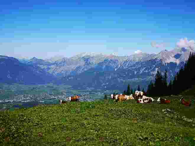 Siesta in Hochgerling mit Blick ins Saalfeldener Becken