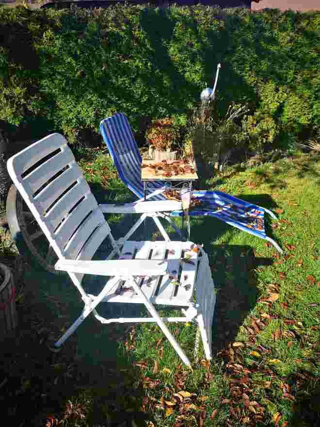 Herbst Dekor