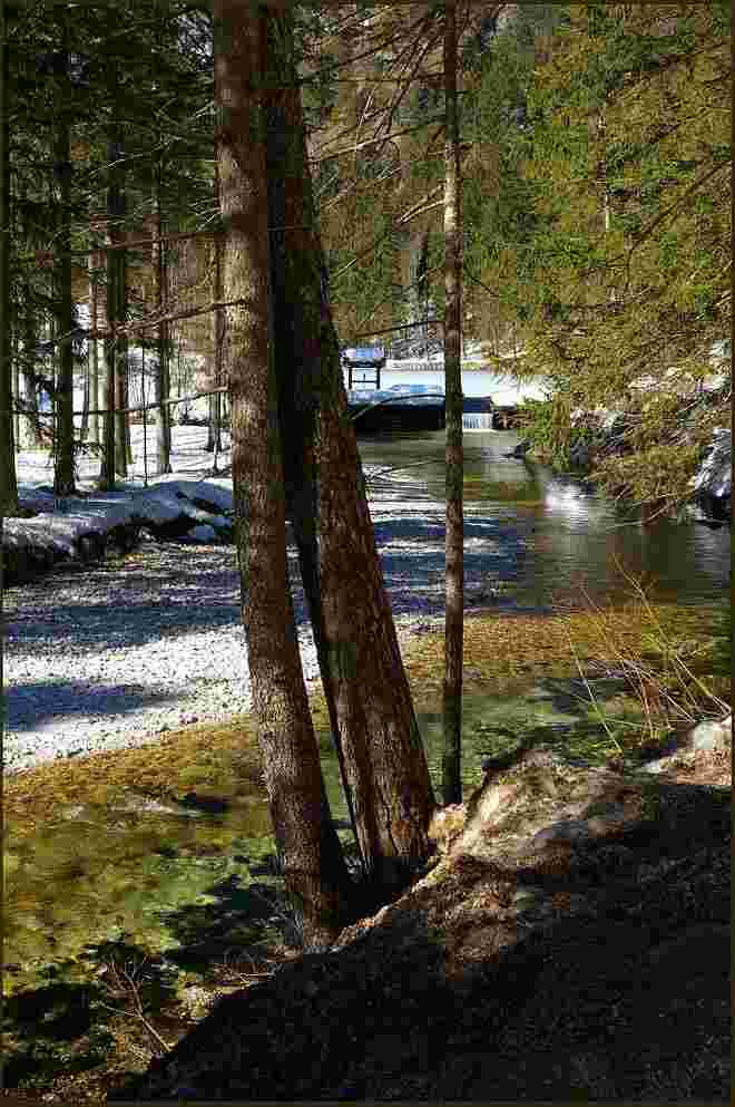 Winterblick zum Schiederweiher