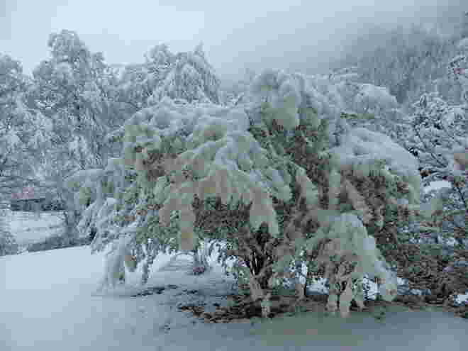 Wintereinbruch am 29.4.2019