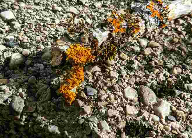 . . . Winterfarben 