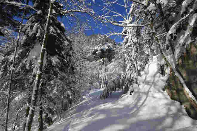 Pillstein Wintermärchen