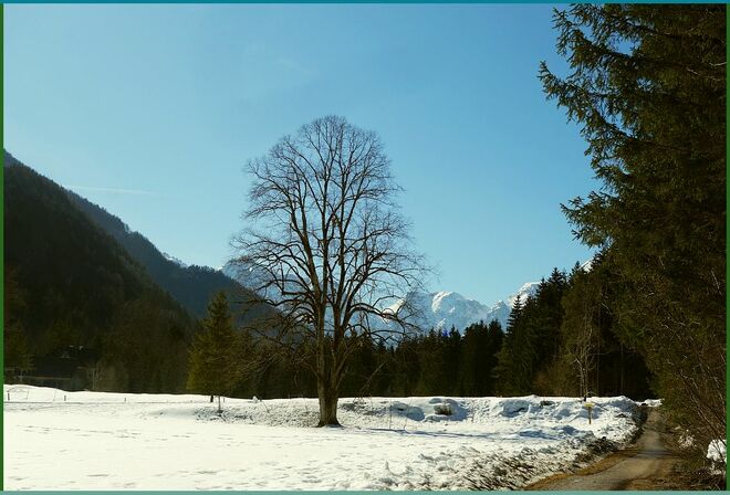 . . . wettergeprüft und wieder durchgehalten