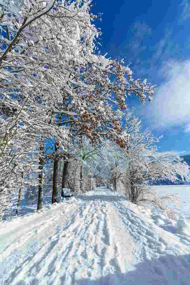 Winter Wonderland