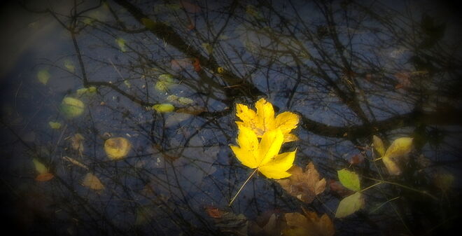 "ÜBER WASSER HALTEN" 