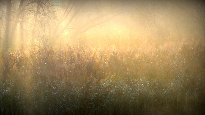 " DER  TAG  ERWACHT "