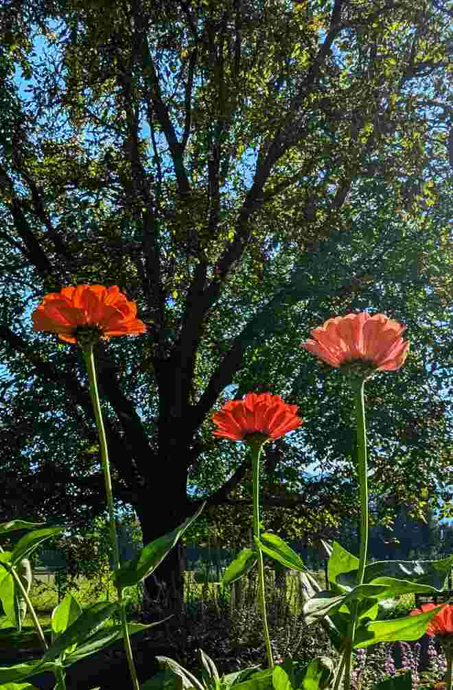 . . . in der Abendsonne 'hoch hinaus'