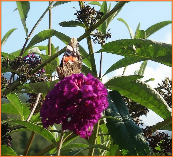 . . . zufällig . . . 