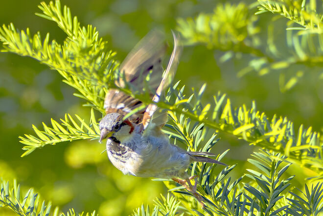 Ich bin dann mal weg.....