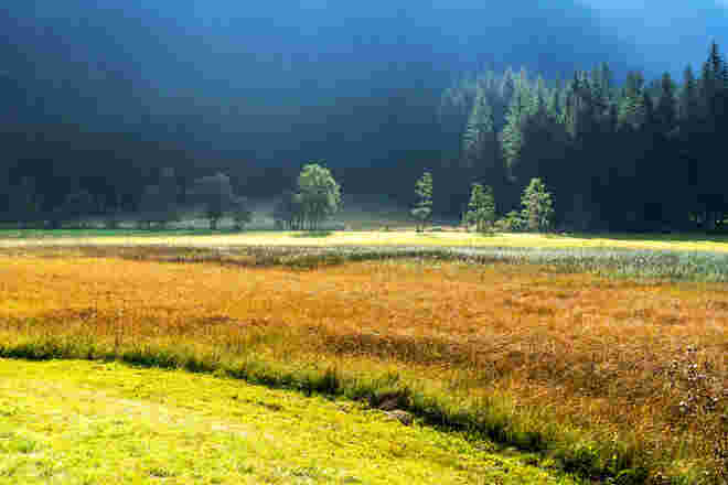 Herbstwiese
