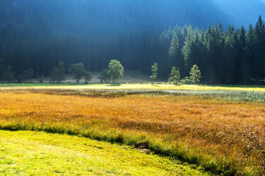 Herbstwiese