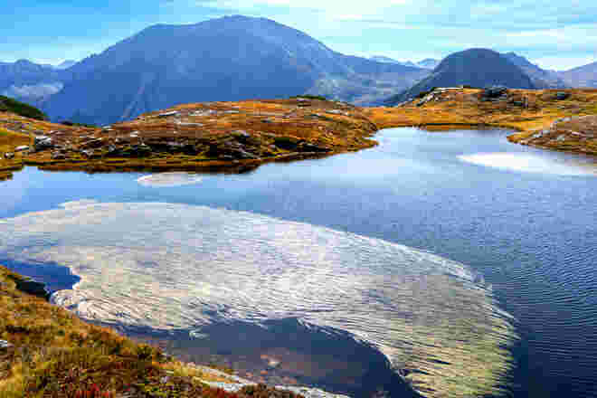 Seegras im Bergsee