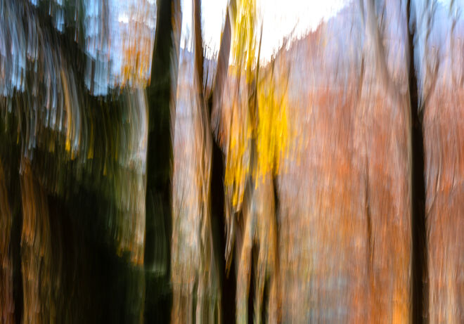 Der Wind war es.....