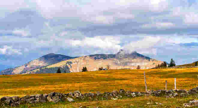 Der Schmittenstein