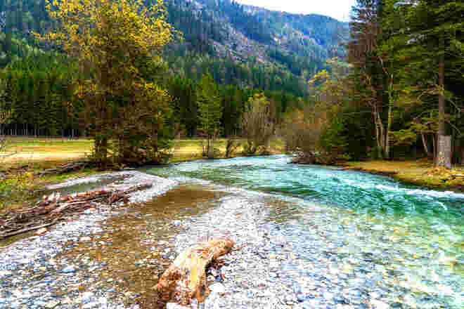 Flußnatur