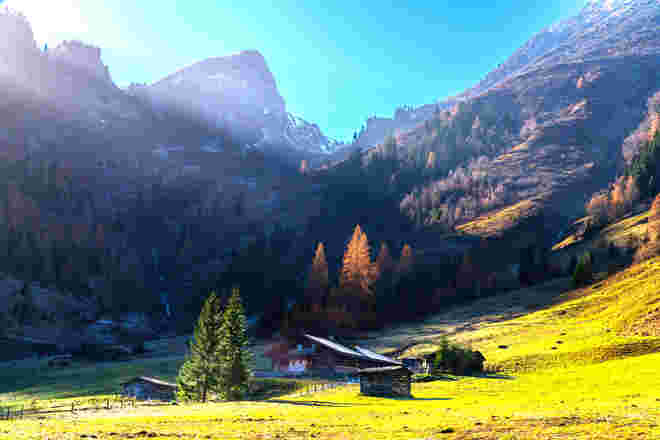 Lärchenbrennen