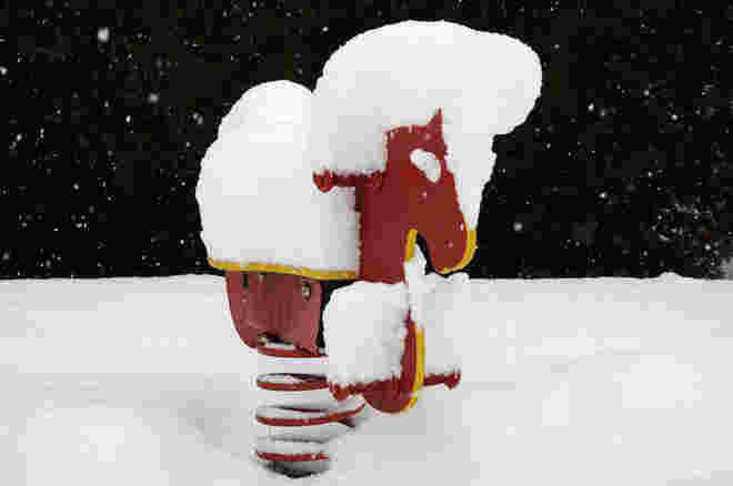 Schnee-Pferdchen