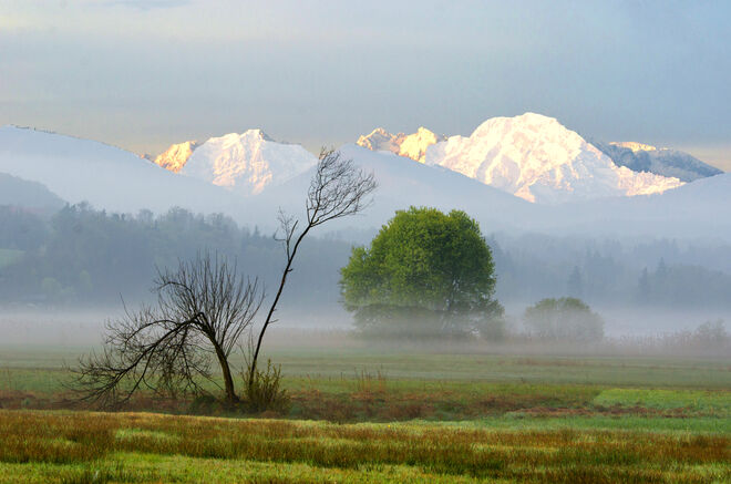 Spätherbst mit ersten Schnee