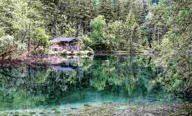 Grünes Farbenspiel im Bluntausee