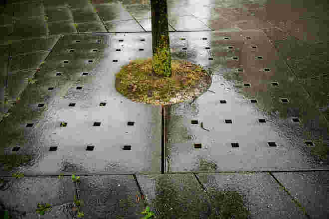 Quadratisch, rund und grün