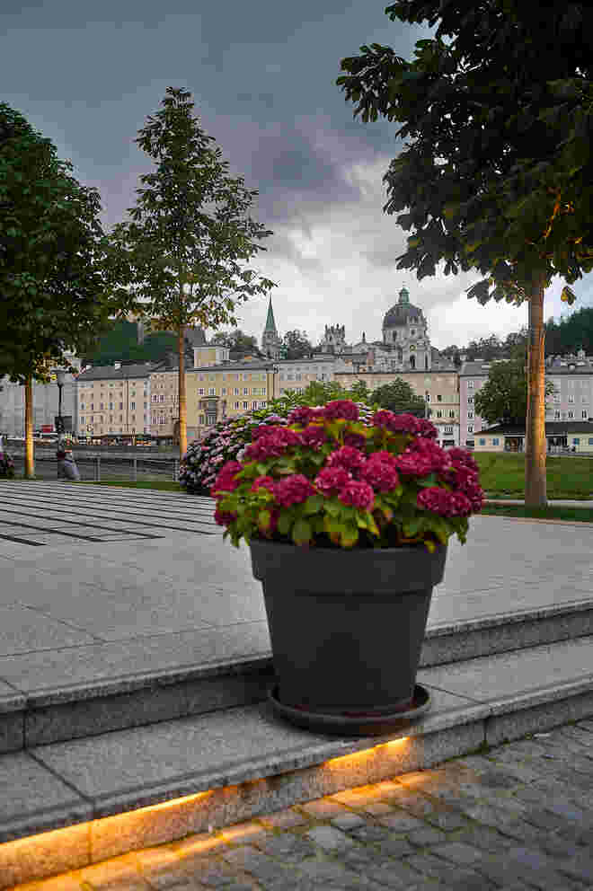 Altstadtblick