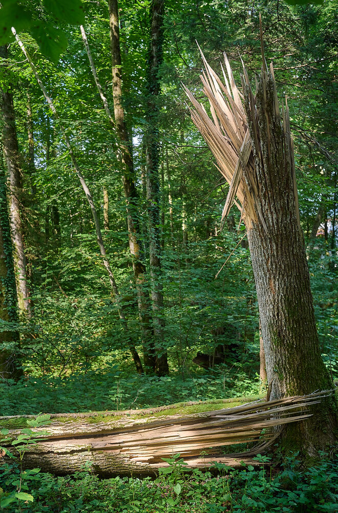 Der Sturm war stärker