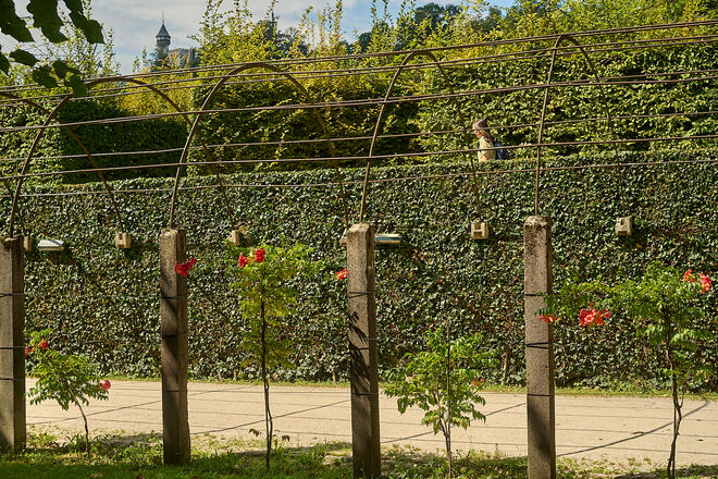 Unterwegs im Mirabellgarten