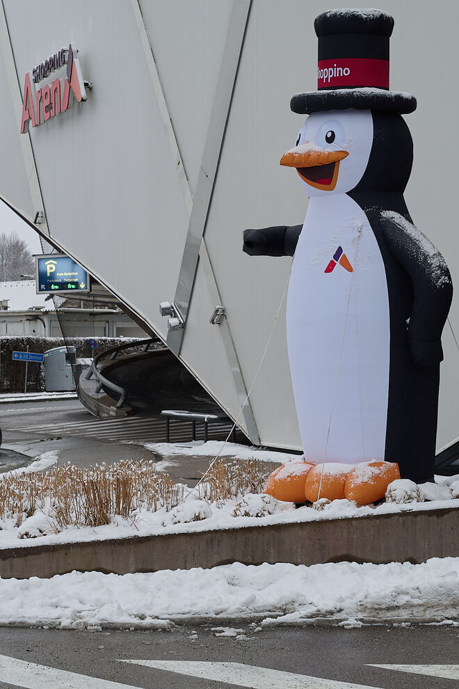 Auch Pingu freut sich über den Schnee