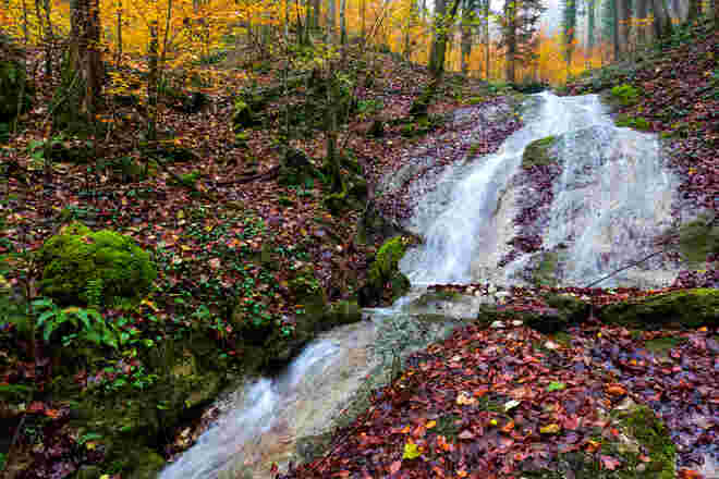 Gaisberg Bach