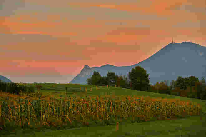 Von der Törringstraße