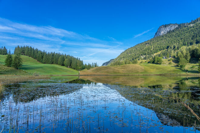 Blick in den Spiegel