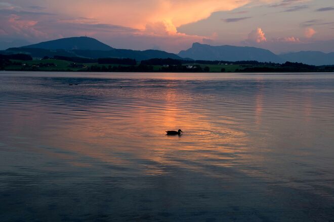 Ich hab`s nicht eilig.