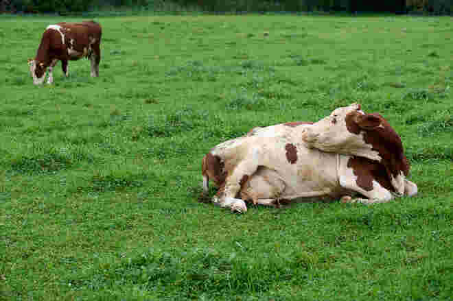 Ruhig und entspannt