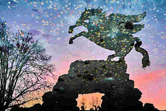 Pegasus