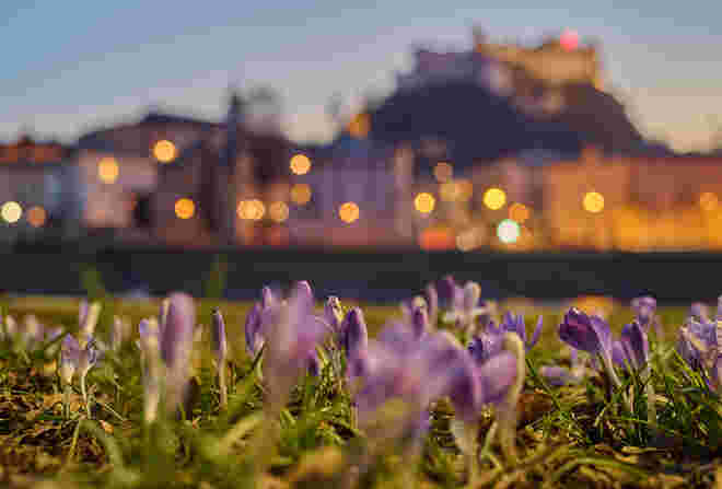 Frühlingserwachen