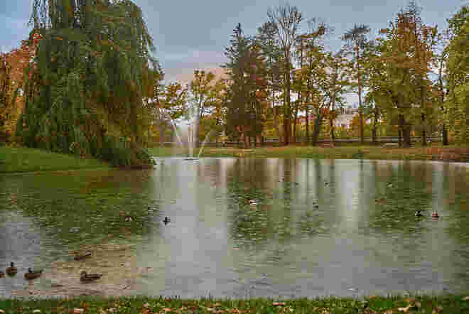 Im Volksgarten