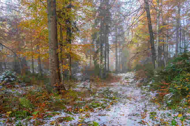Halb Winter halb Herbst
