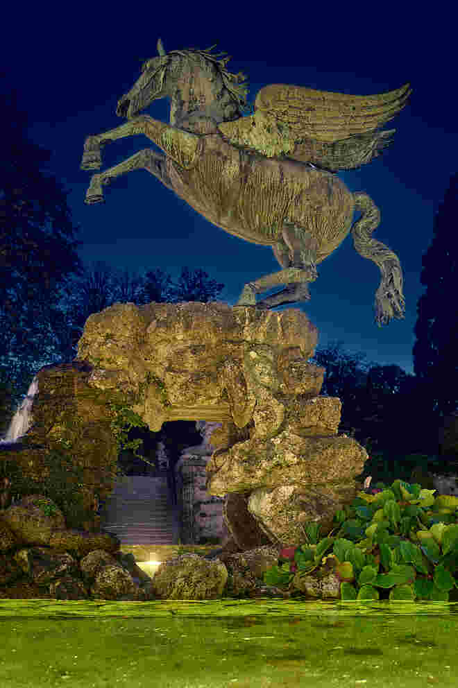 Pegasus