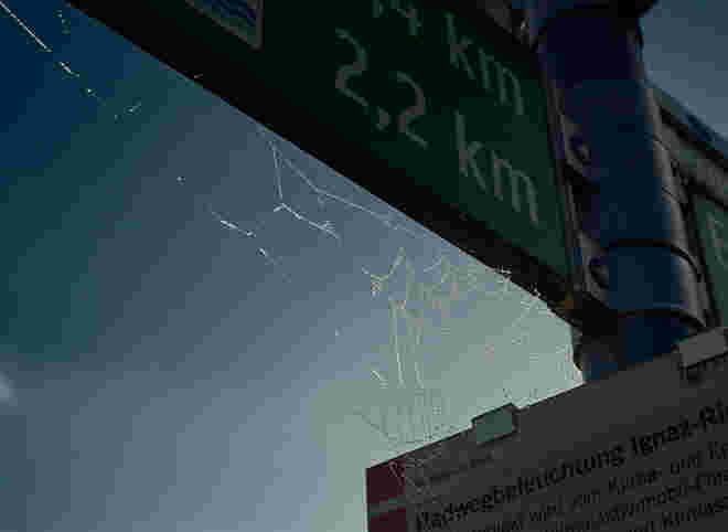 Spinnennetz am Wegweiser