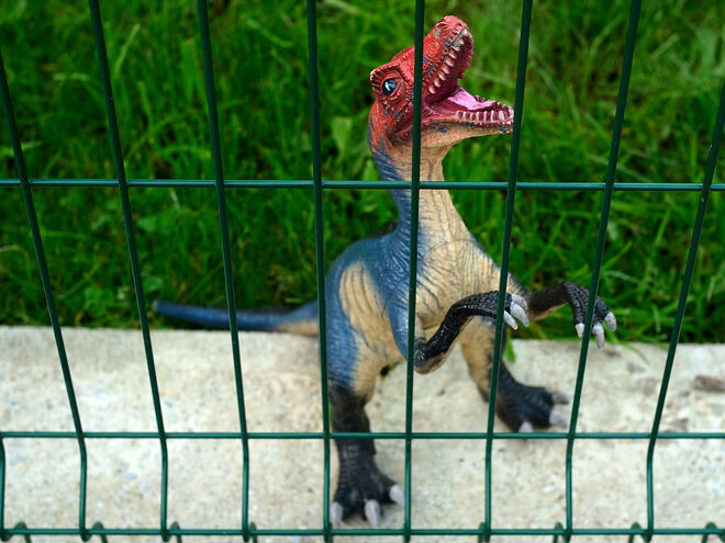 Hinter einem Gartenzaun