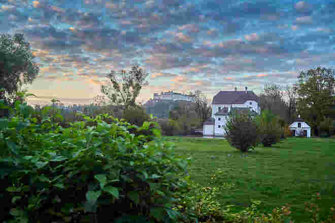 Von der Hofhaymer Allee