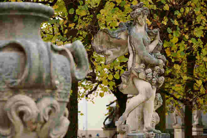 Flora