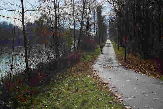 Treppelweg